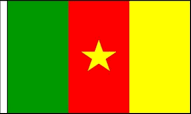 Cameroon Hand Waving Flags